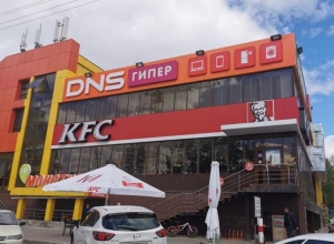 DNS . , . , 87